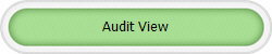 Audit View