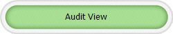 Audit View