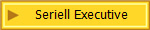 Seriell Executive